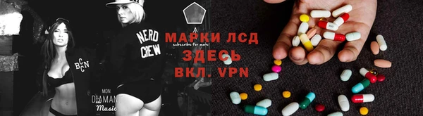 гидропоника Белокуриха
