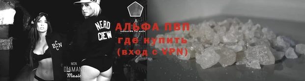 стафф Белоозёрский