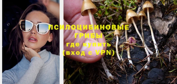 стафф Белоозёрский
